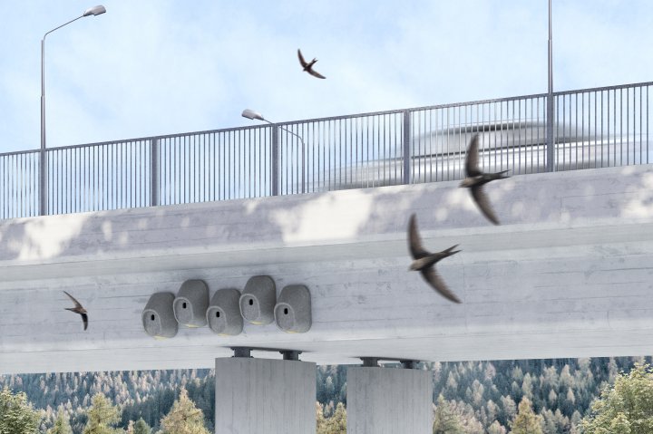 Ein Rendering einer Brücke, an welcher Nisthilfen befestigt sind, die von Vögel umflogen werden